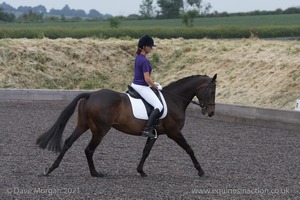 ISIS Dressage Challenge 2008